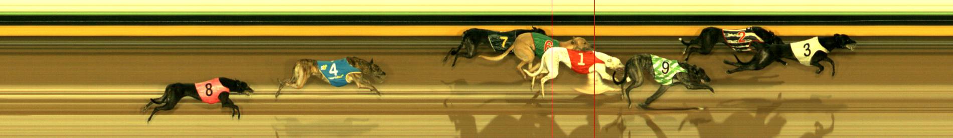 Photo finish for Sandown Race 11