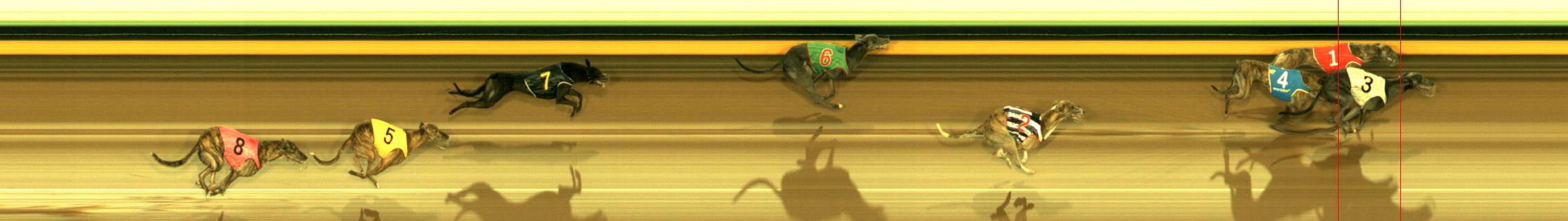 Photo finish for Sandown Race 12