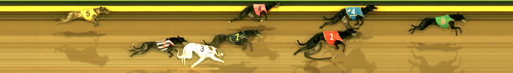Photo finish for Sandown Race 1