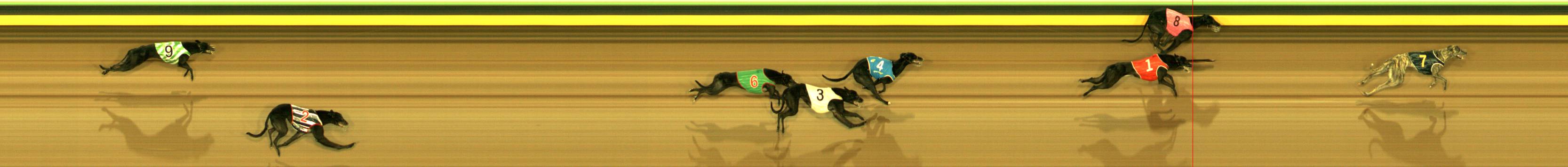 Photo finish for Sandown Race 2