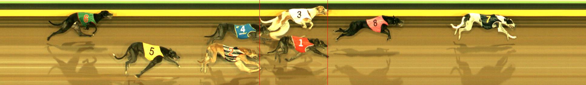 Photo finish for Sandown Race 3