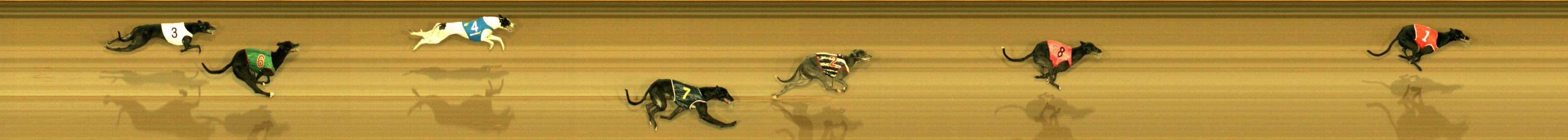 Photo finish for Sandown Race 4