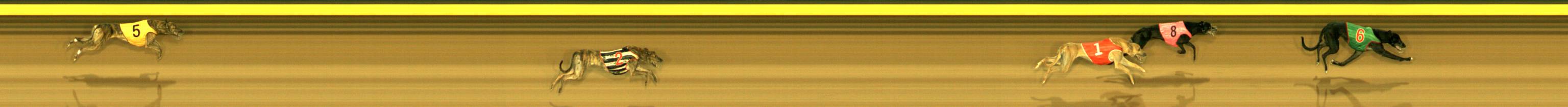 Photo finish for Sandown Race 5