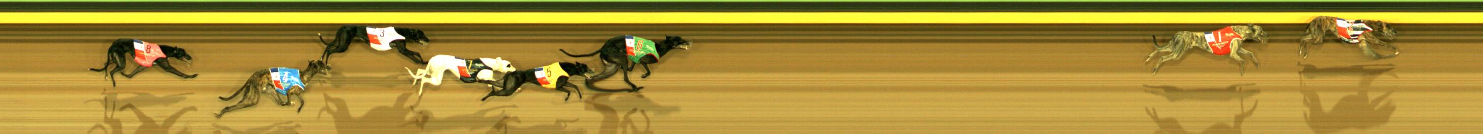 Photo finish for Sandown Race 6