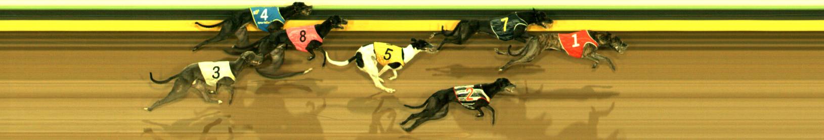 Photo finish for Sandown Race 7