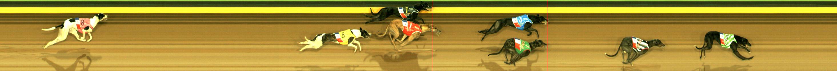 Photo finish for Sandown Race 8