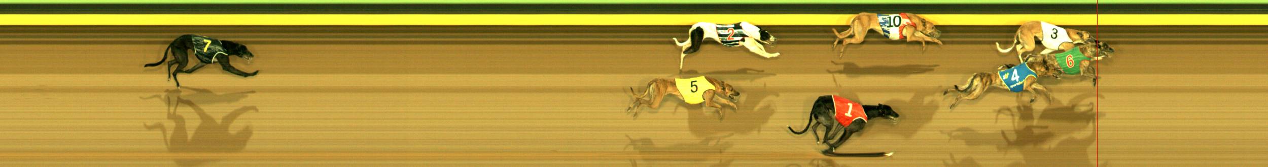Photo finish for Sandown Race 9