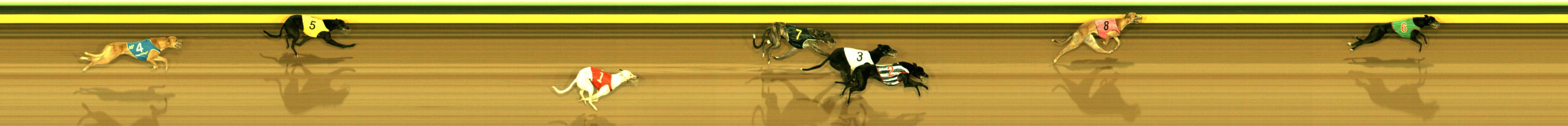 Photo finish for Sandown Race 10