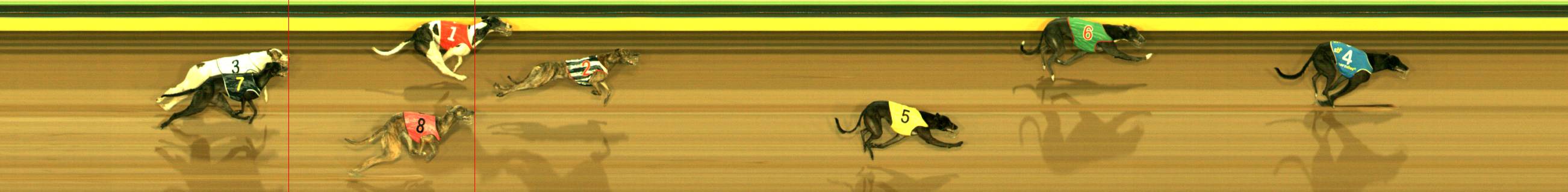 Photo finish for Sandown Race 11