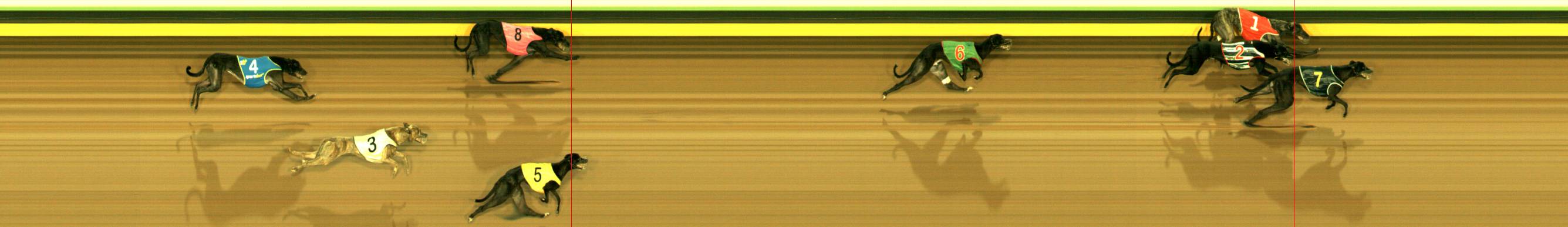 Photo finish for Sandown Race 12