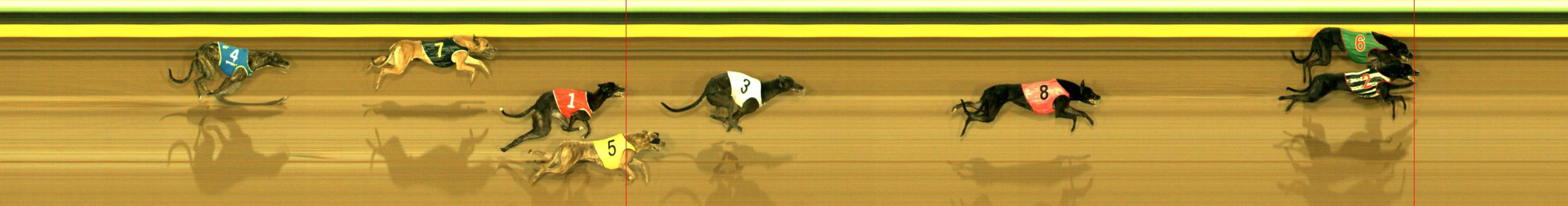 Photo finish for Sandown Race 1
