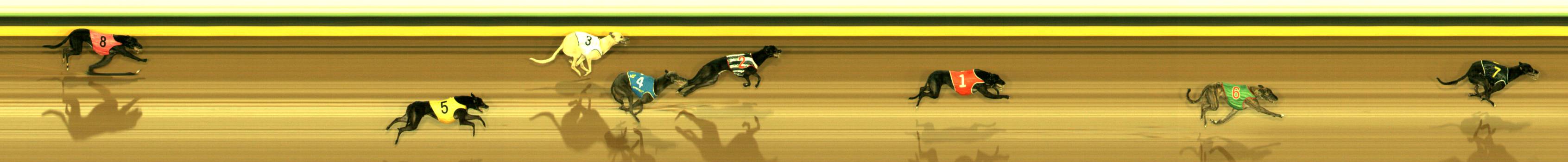 Photo finish for Sandown Race 2