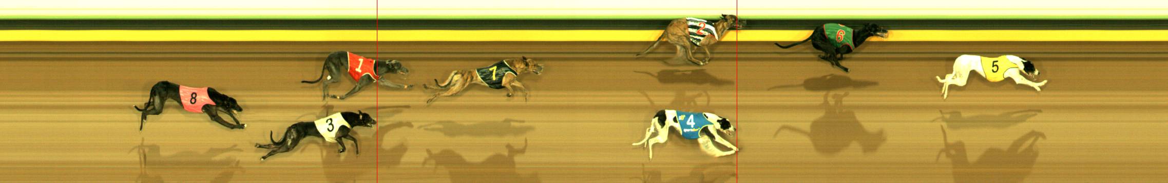Photo finish for Sandown Race 3