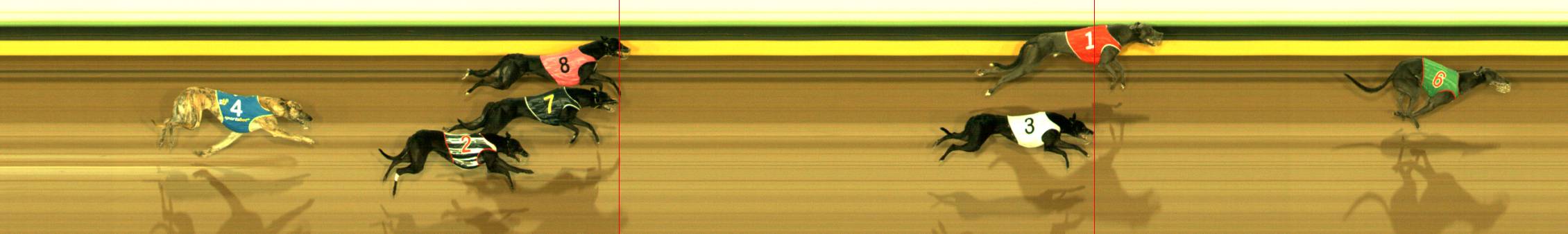 Photo finish for Sandown Race 4