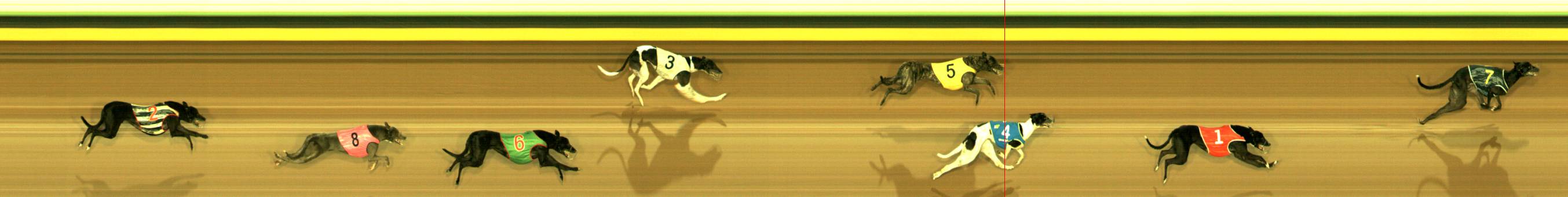 Photo finish for Sandown Race 5