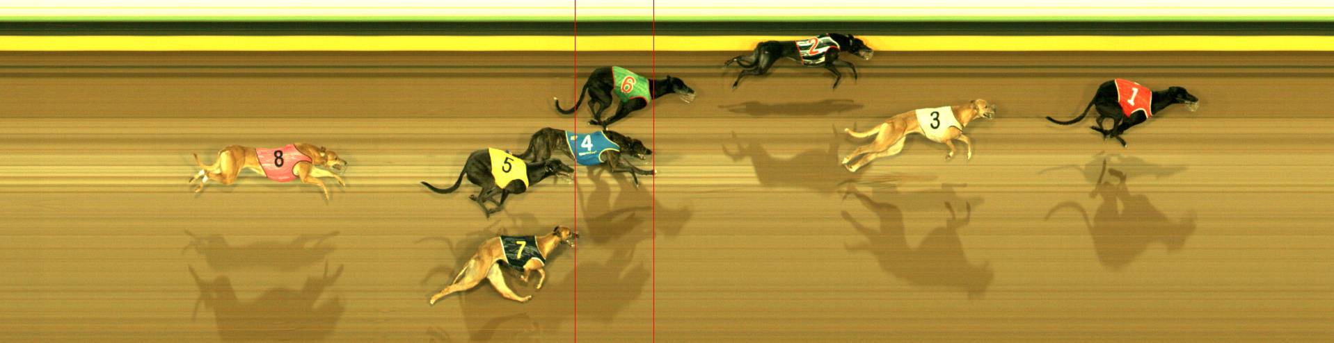 Photo finish for Sandown Race 6