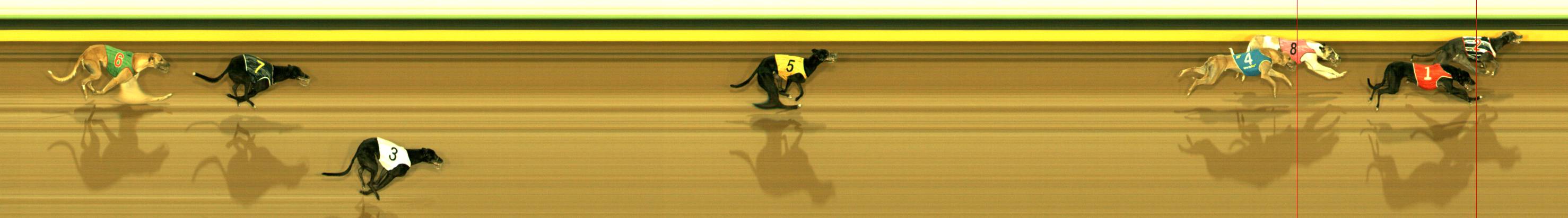 Photo finish for Sandown Race 7