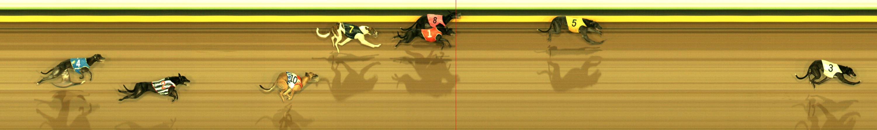 Photo finish for Sandown Race 8