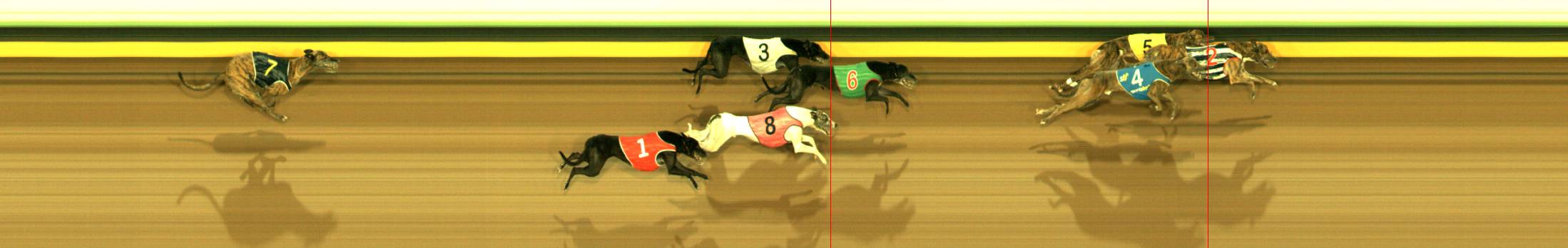 Photo finish for Sandown Race 9