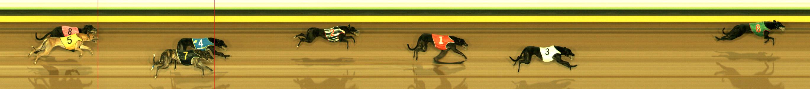 Photo finish for Sandown Race 10