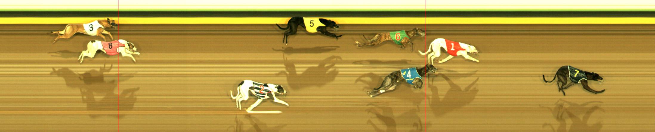 Photo finish for Sandown Race 11