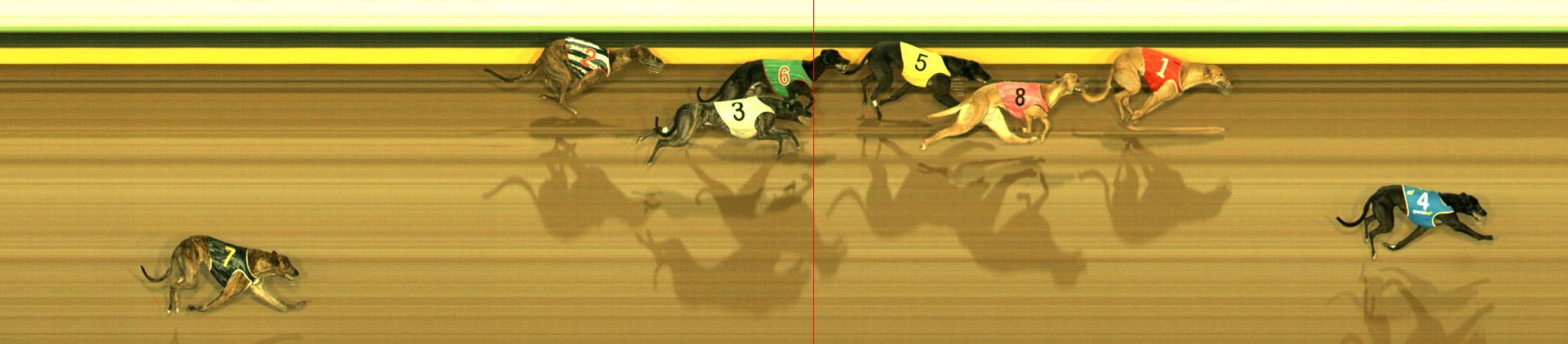 Photo finish for Sandown Race 12