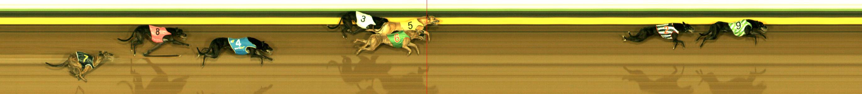 Photo finish for Sandown Race 1