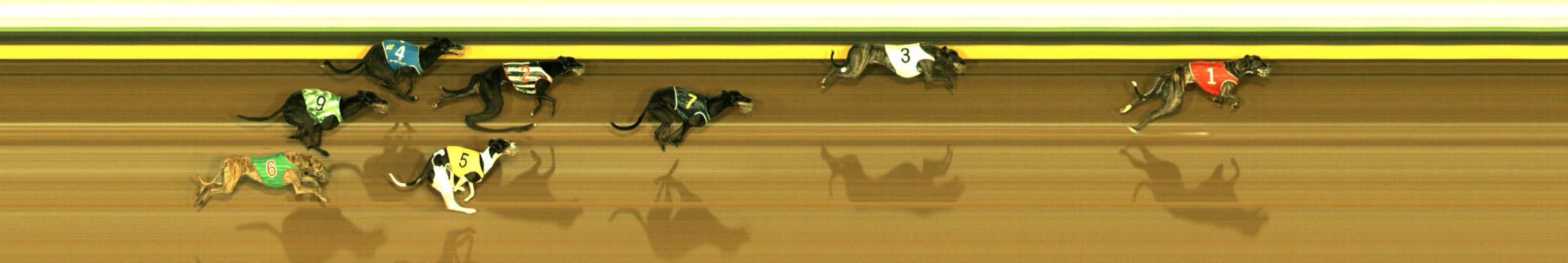 Photo finish for Sandown Race 2