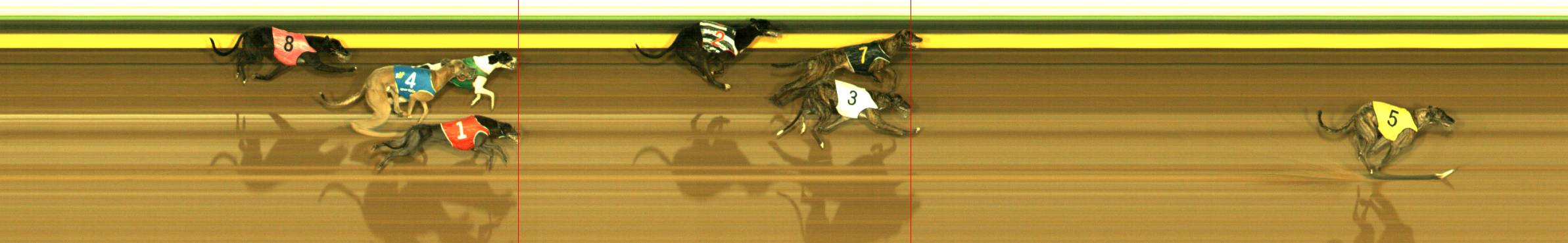 Photo finish for Sandown Race 3