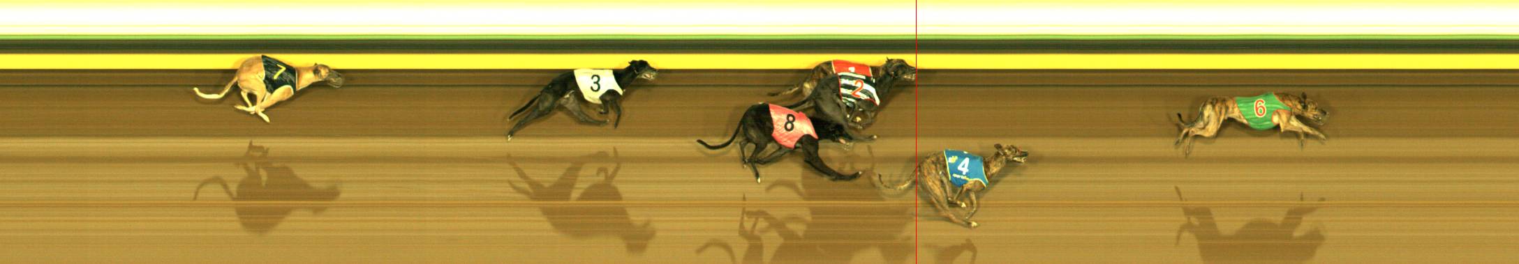 Photo finish for Sandown Race 4
