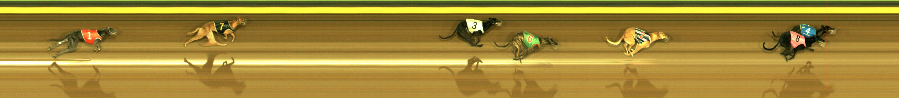 Photo finish for Sandown Race 5