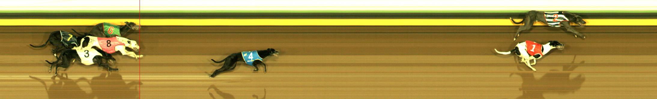 Photo finish for Sandown Race 6