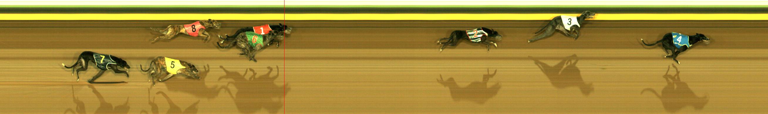 Photo finish for Sandown Race 7
