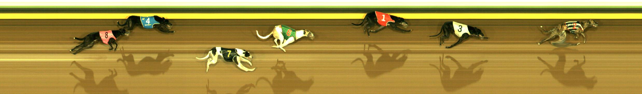 Photo finish for Sandown Race 8