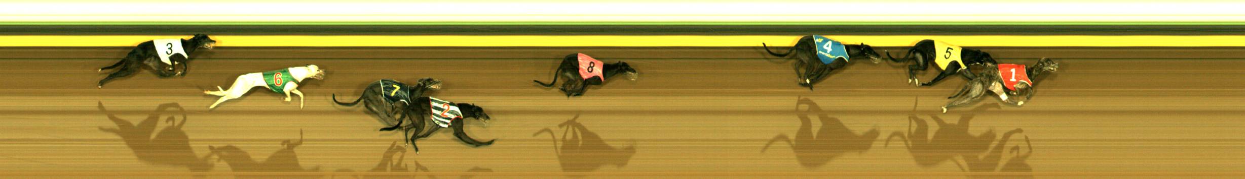 Photo finish for Sandown Race 9