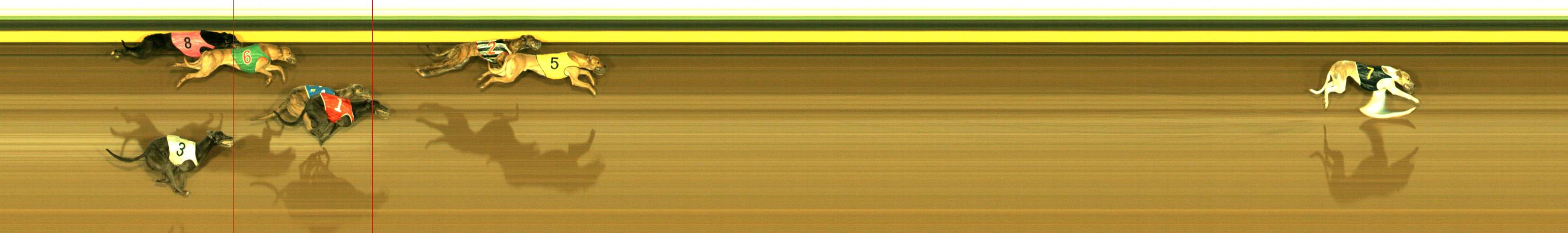 Photo finish for Sandown Race 10