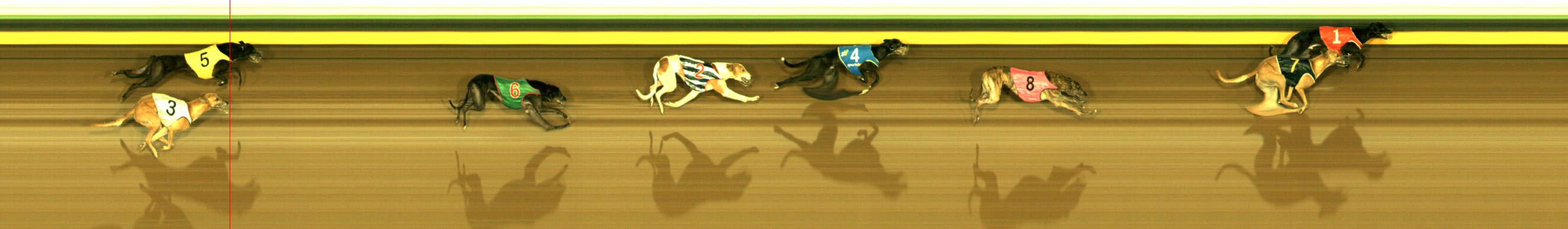 Photo finish for Sandown Race 11