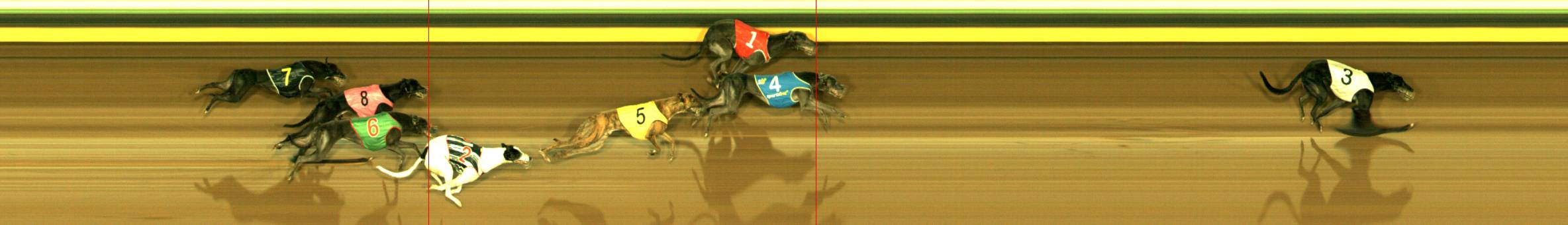 Photo finish for Sandown Race 12