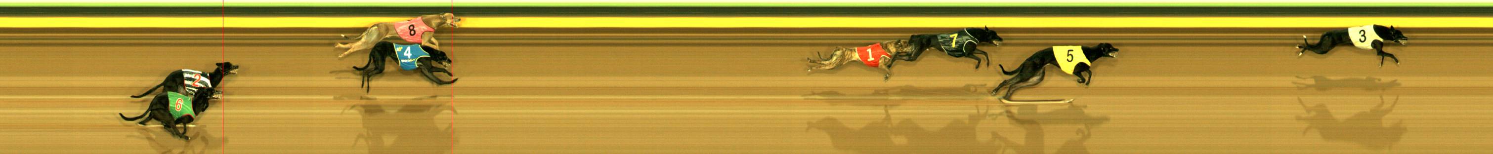 Photo finish for Sandown Race 1