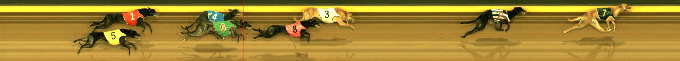 Photo finish for Sandown Race 2