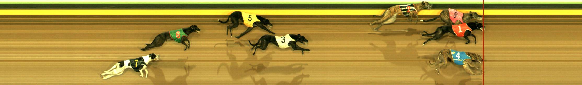 Photo finish for Sandown Race 4