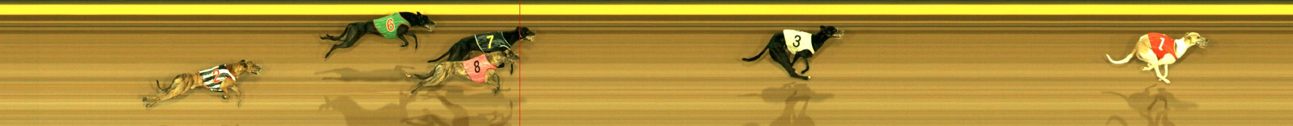 Photo finish for Sandown Race 5