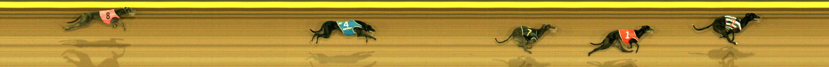 Photo finish for Sandown Race 6