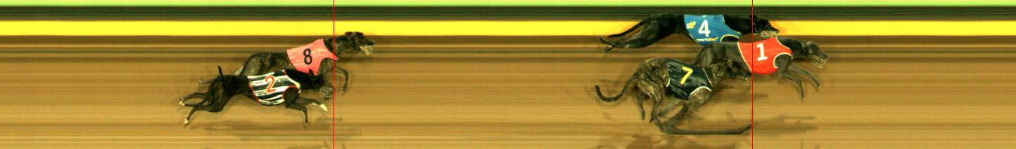 Photo finish for Sandown Race 7