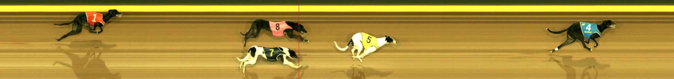 Photo finish for Sandown Race 8