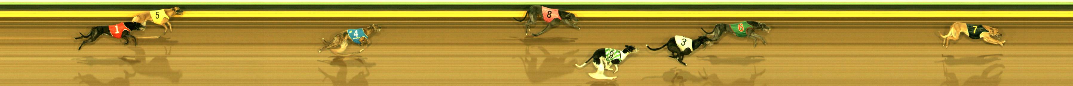 Photo finish for Sandown Race 9