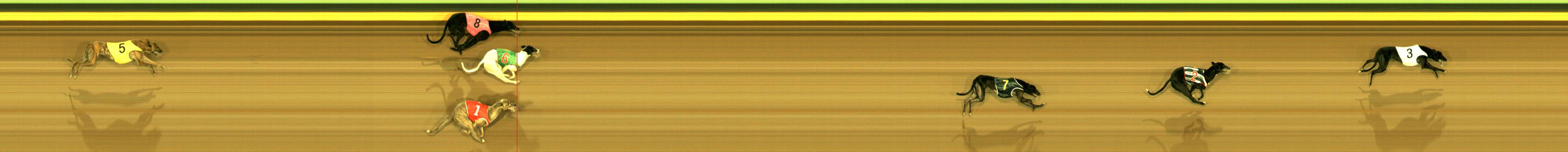 Photo finish for Sandown Race 10