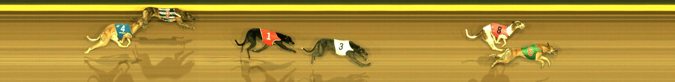 Photo finish for Sandown Race 11
