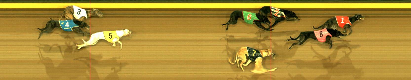 Photo finish for Sandown Race 12