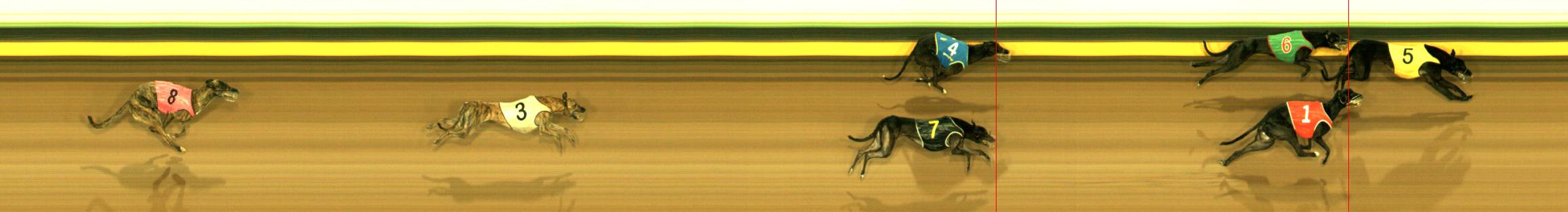 Photo finish for Sandown Race 1